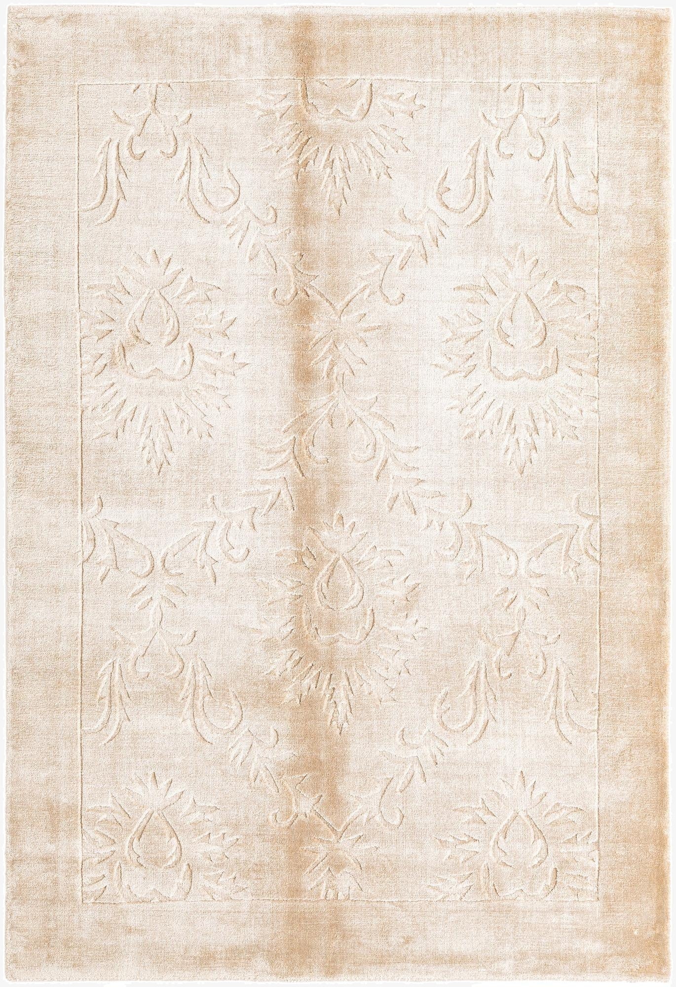 3' 11 x 5' 9 Darya Rug