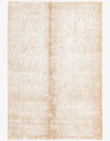 3' 11 x 5' 9 Darya Rug