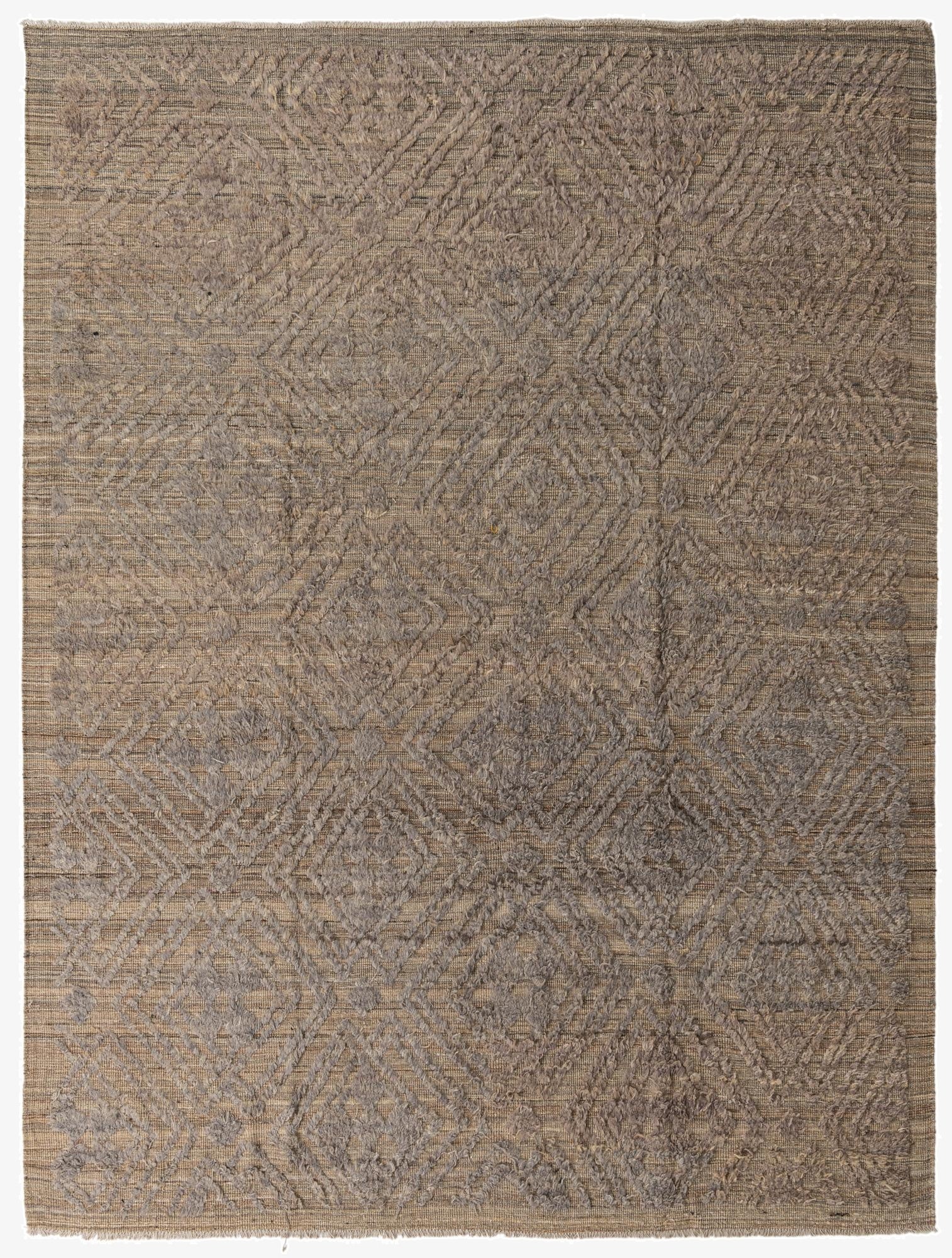 9' 2 x 12' 1  Hand Knotted Darya Wool Rug