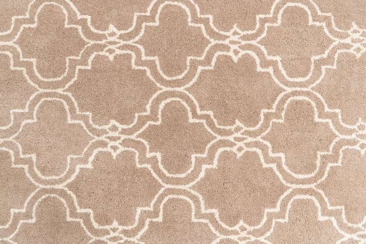 5' x 8' Luna Rug