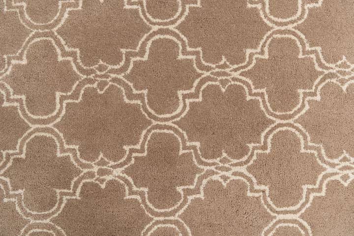 5' x 7' 10 Luna Rug