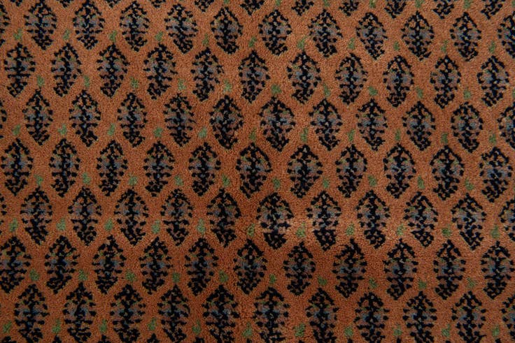 Detail image of 4' 7 x 6' 7 Hand Knotted Mir Oriental Wool Rug