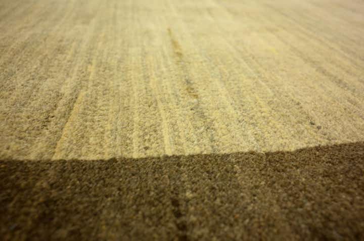 3' 11 x 6' Hand Knotted Modern Ziegler Oriental Rug