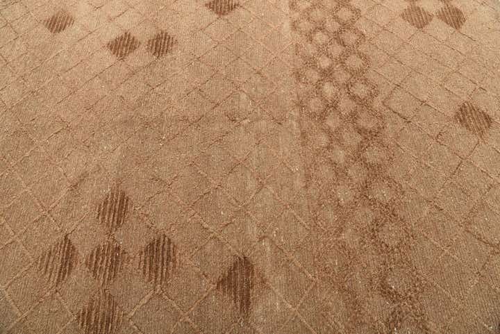 5' 6 x 7' 7 Hand Knotted Moroccan Wool Rug