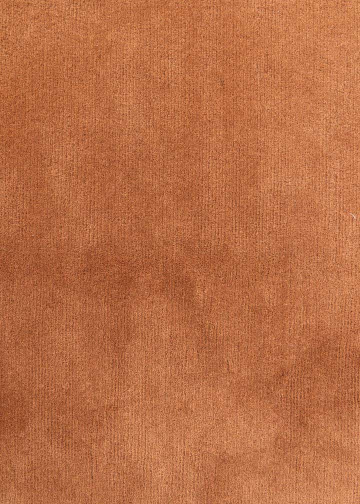 4' 8 x 6' 7 Hand Knotted Nepal Rug