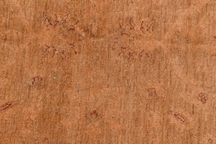Detail image of 4' x 5' 10 Hand Knotted Peshawar Ziegler Rug