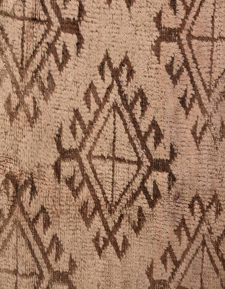 Detail image of 4' 9 x 8' 4  Hand Knotted Torkaman Persian Wool Rug