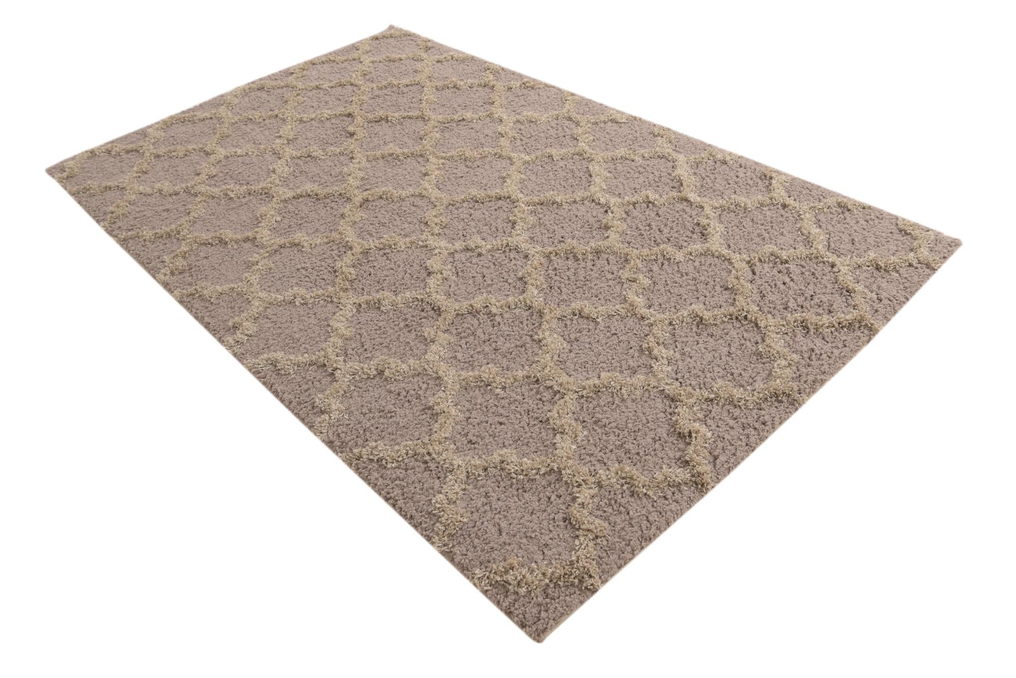 5' x 8' Trellis Shag Rug