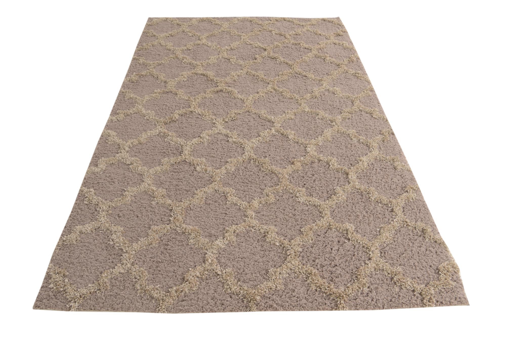 5' x 8' Trellis Shag Rug