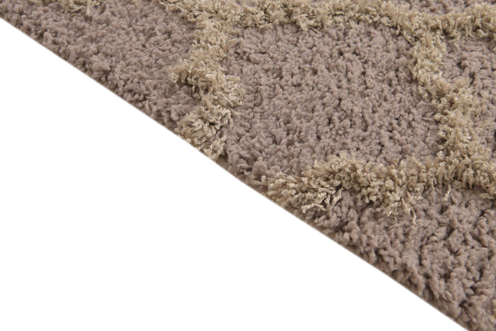 5' x 8' Trellis Shag Rug