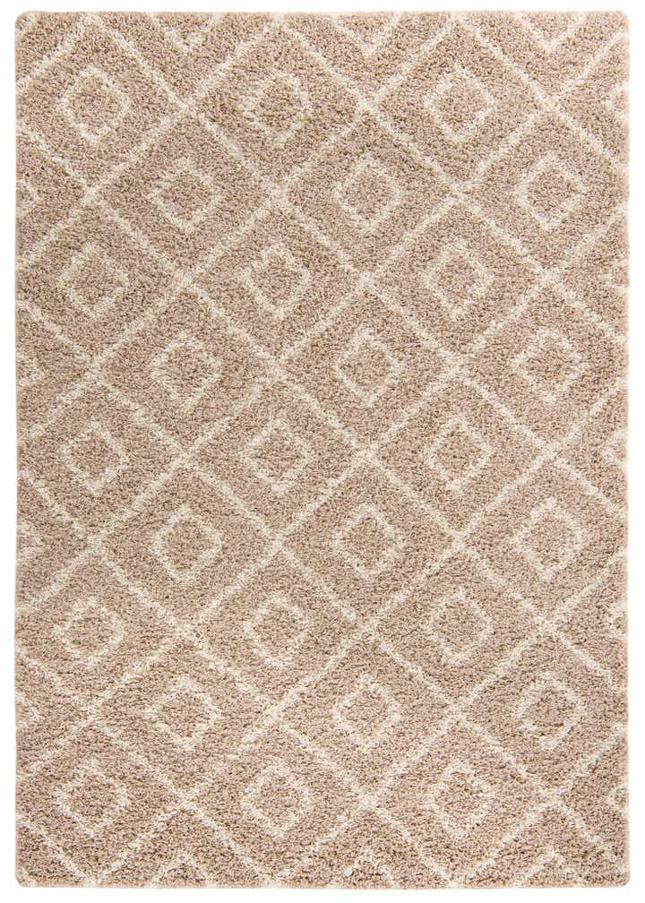 6' x 9' Trellis Shag Rug