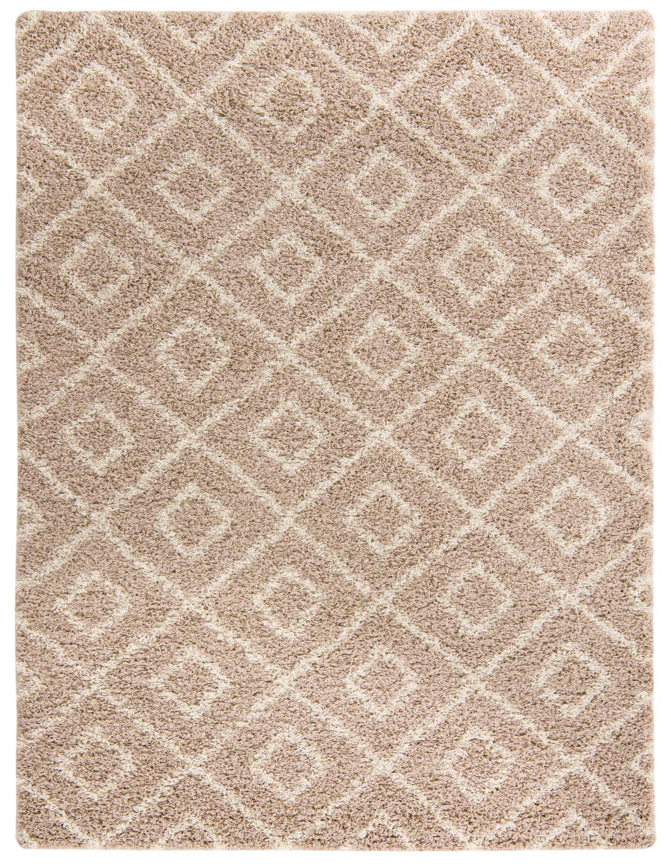 6' x 9' Trellis Shag Rug