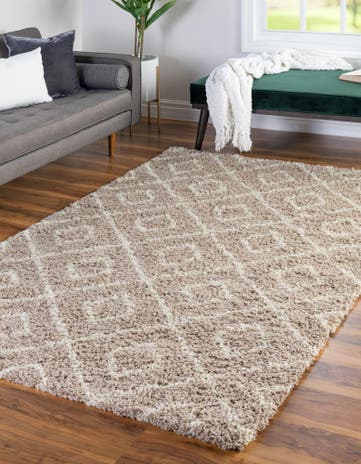 5' 3 x 8' Trellis Shag Rug