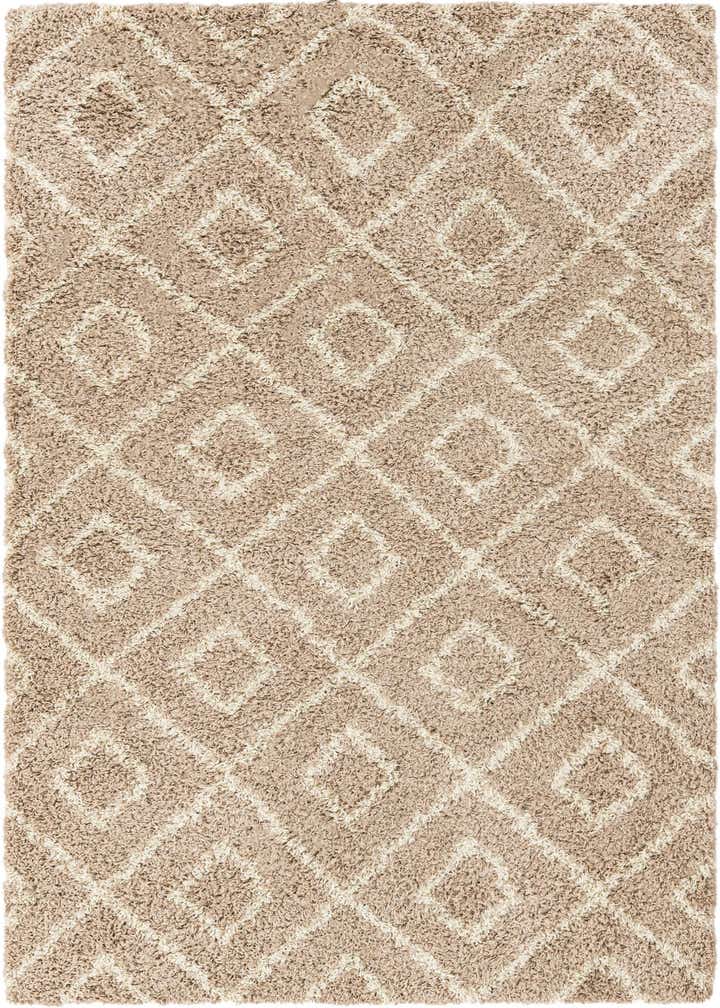 5' 3 x 8' Trellis Shag Rug