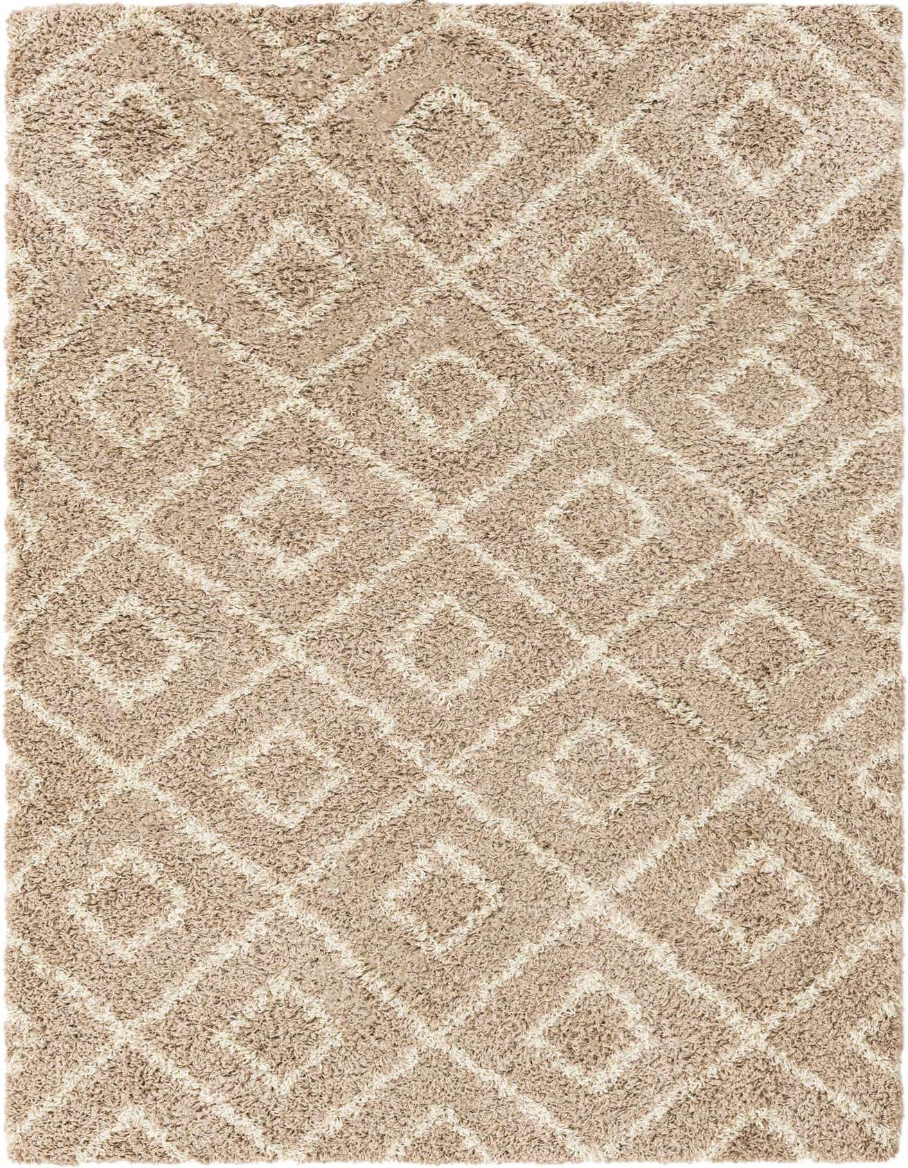 5' 3 x 8' Trellis Shag Rug