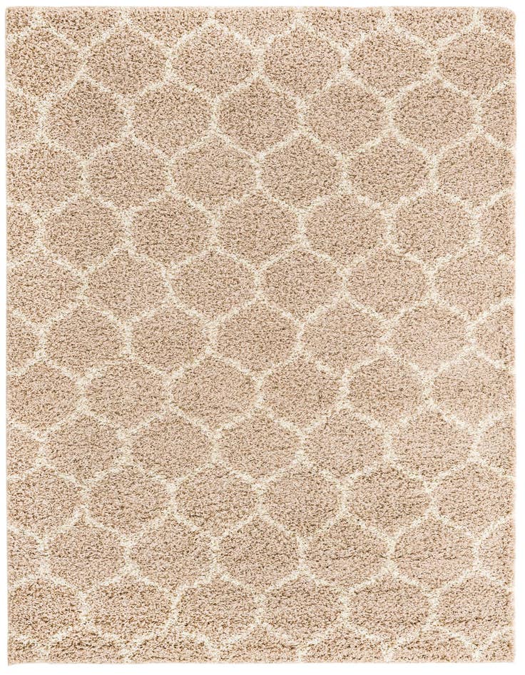 Detail image of 6' x 9' Trellis Shag Rug