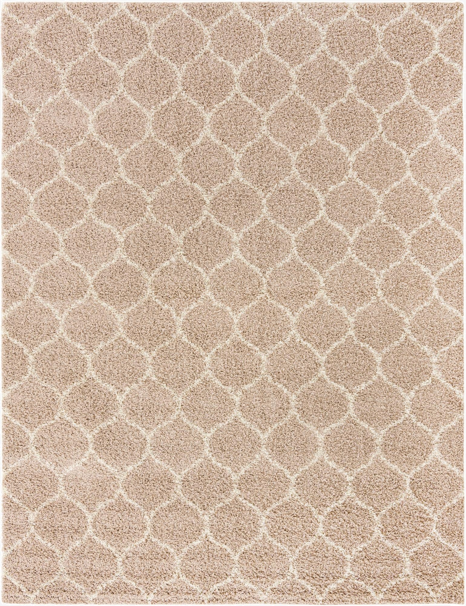 10' x 13' Trellis Shag Rug