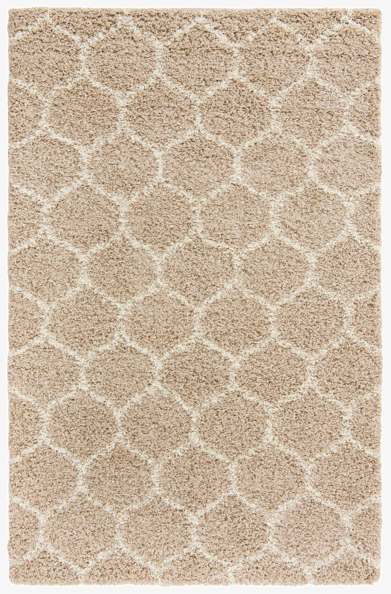 5' 3 x 8' Trellis Shag Rug