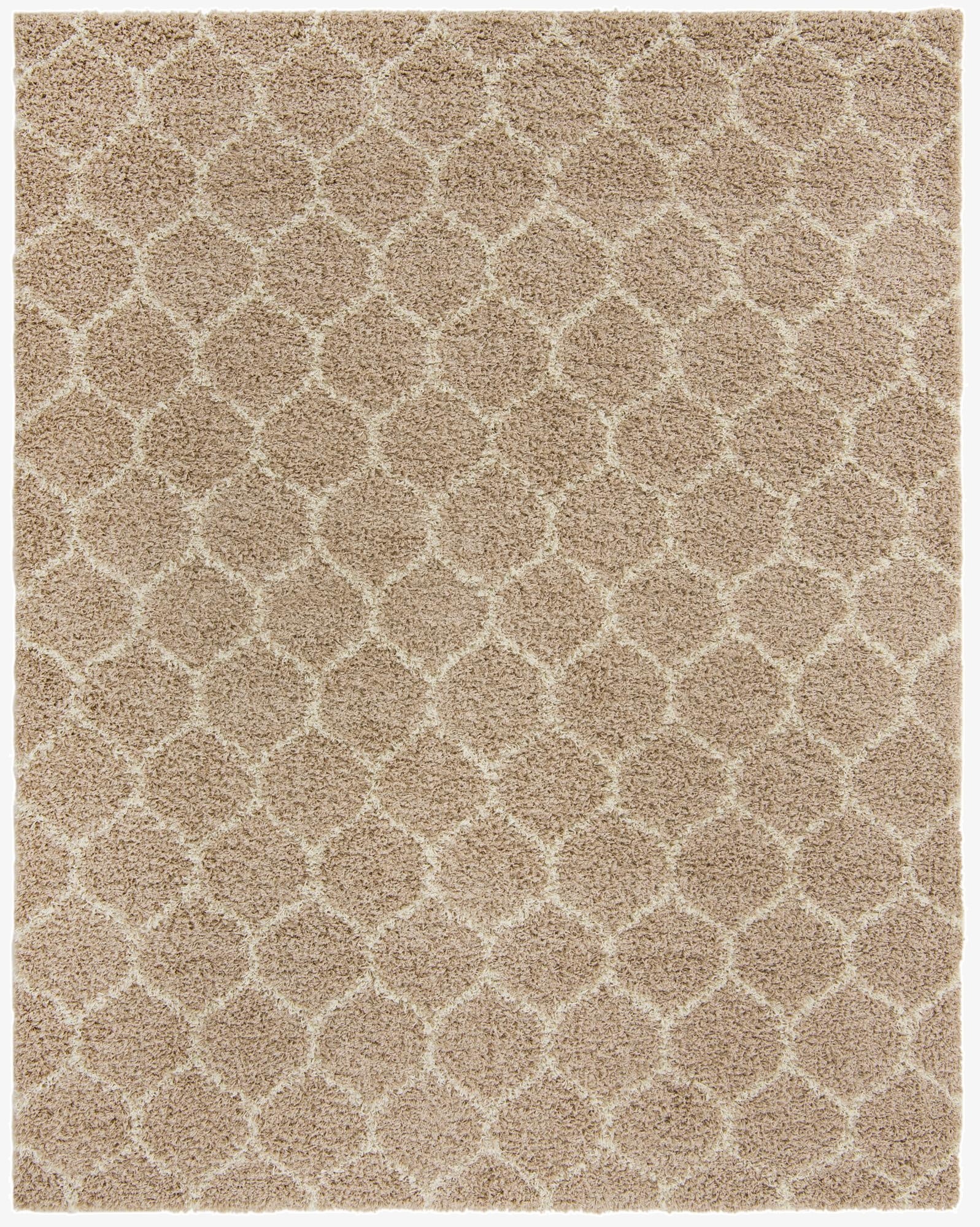 7' 10 x 10' Trellis Shag Rug