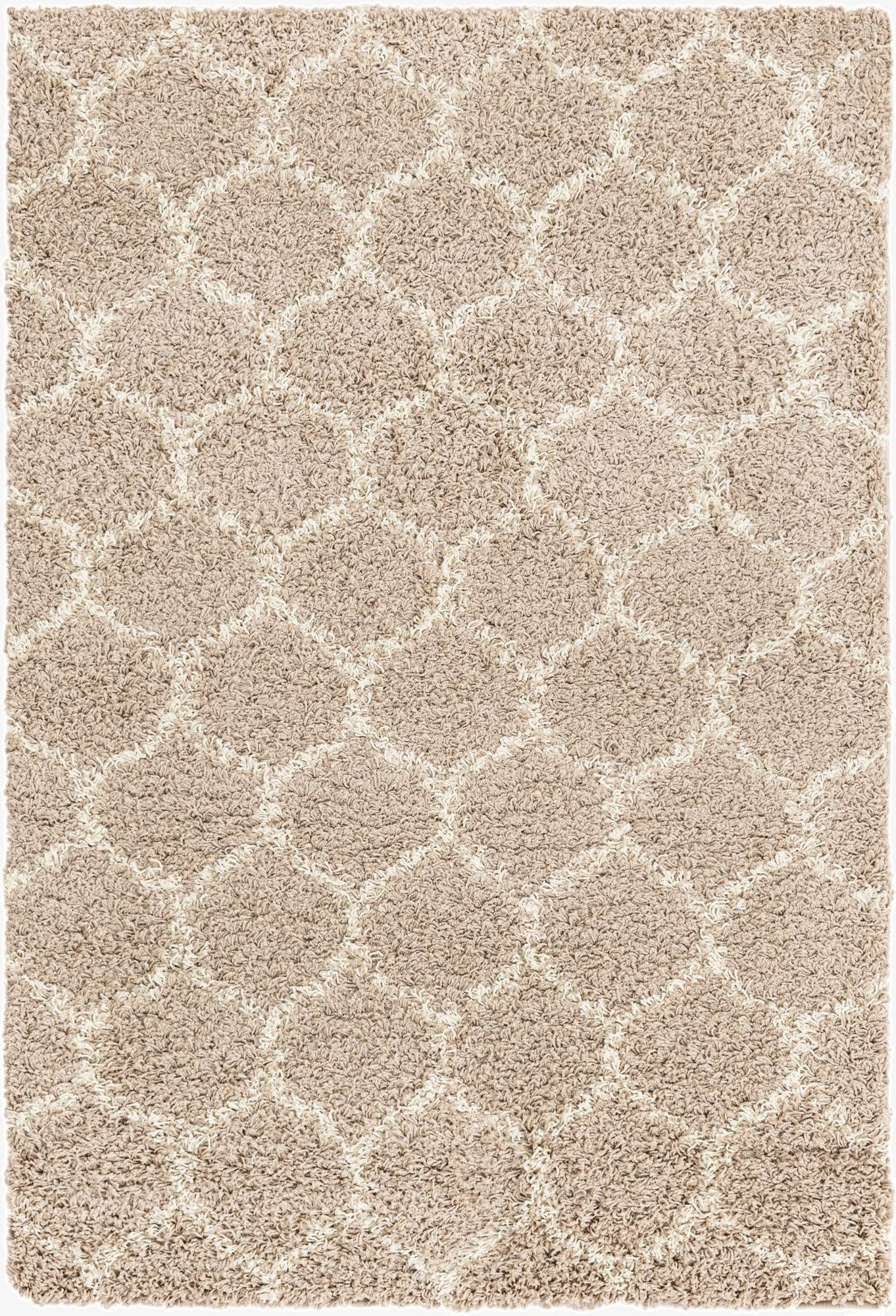 4' x 6' Trellis Shag Rug