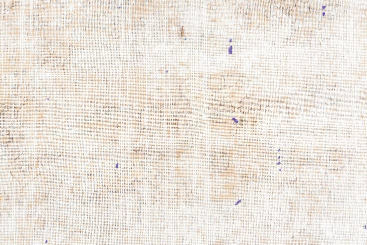 Detail image of 5' 7 x 8' 7 Hand Knotted Ultra Vintage Persian Wool Rug