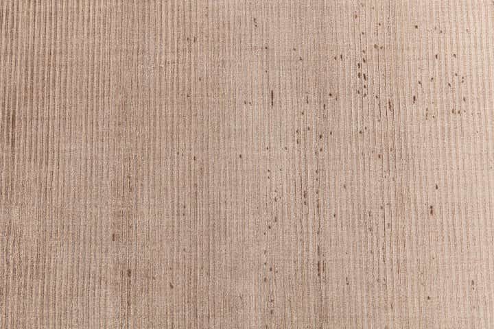 2' 7 x 9' 6 Darya Runner Rug