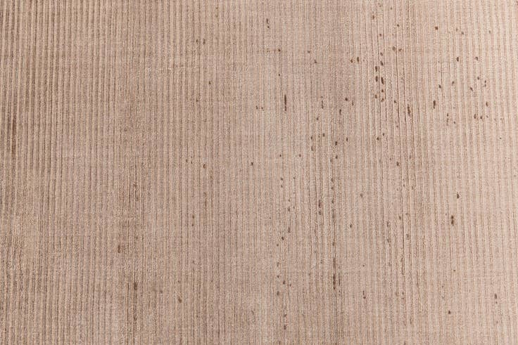 Detail image of 2' 7 x 9' 6 Darya Runner Rug