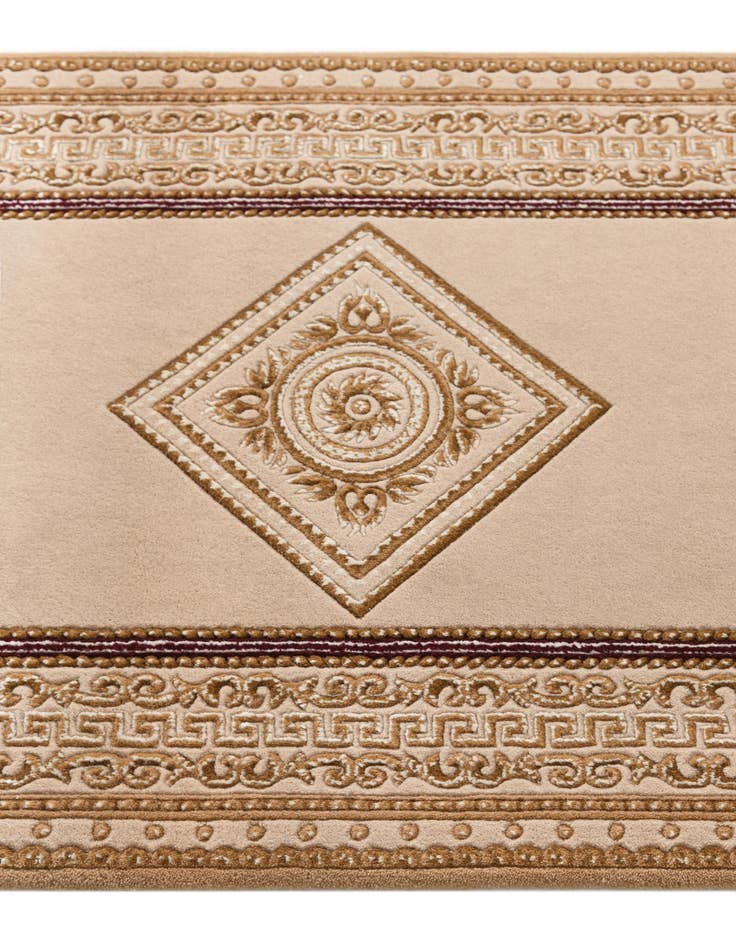 Detail image of 2' 7 x 9' 9 Darya Runner Rug