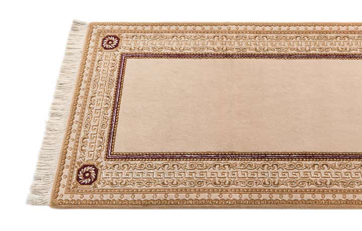 2' 7 x 9' 9 Darya Runner Rug