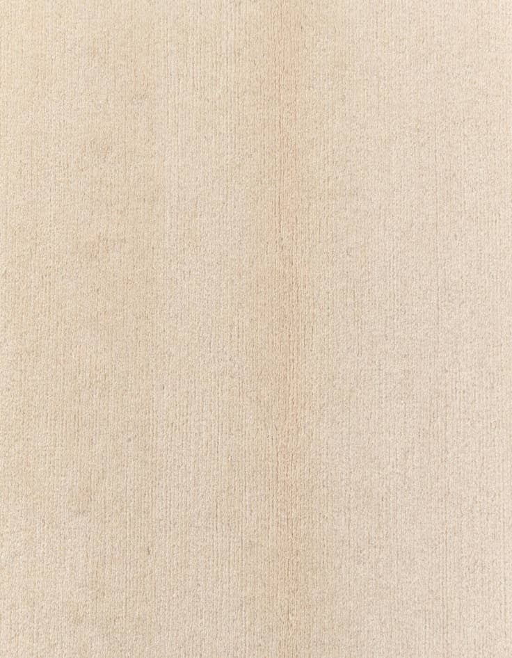 Detail image of 2' 9 x 13' Darya Runner Rug