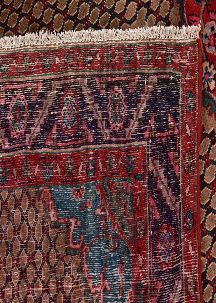 5' 4 x 10' 10 Hand Knotted Koliaei Persian Wool Runner Rug