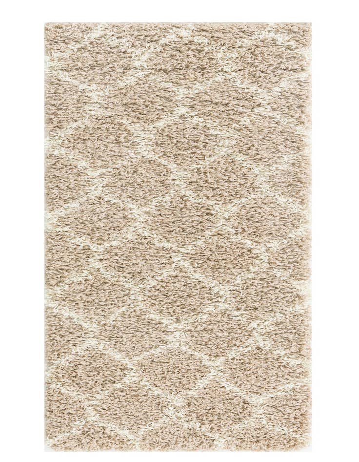 Detail image of 2' x 5' Lattice Shag Runner Rug