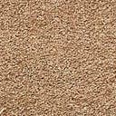 Rug Light Brown Swatch link