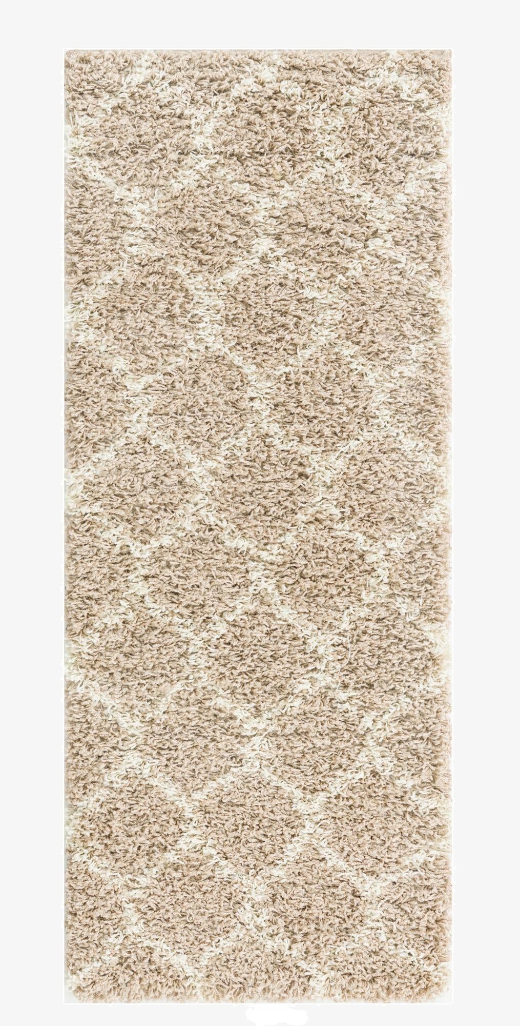 2' x 5' Trellis Shag Runner Rug