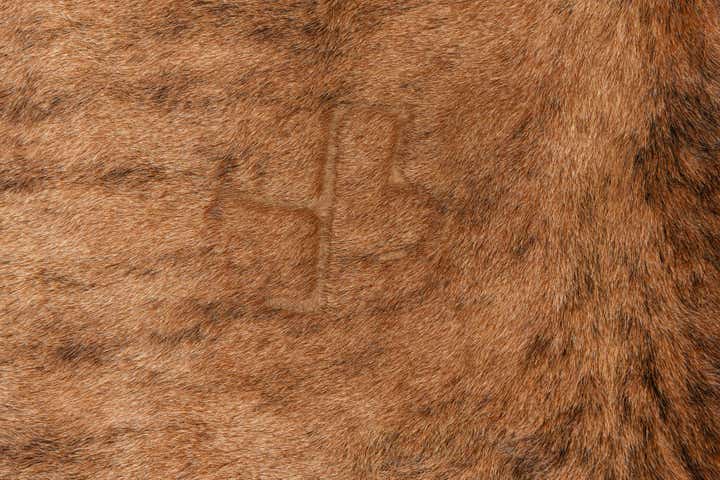 6' 5 x 6' 11 Cowhide Leather Square Rug