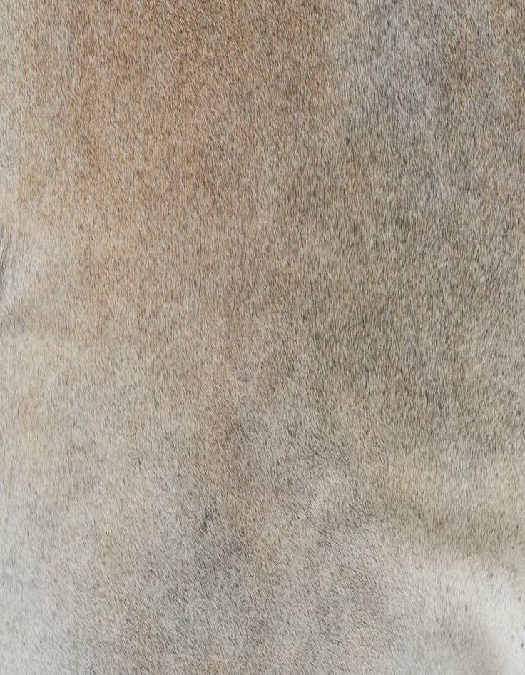 Detail image of 6' 3 x 6' 3 Cowhide Square Rug