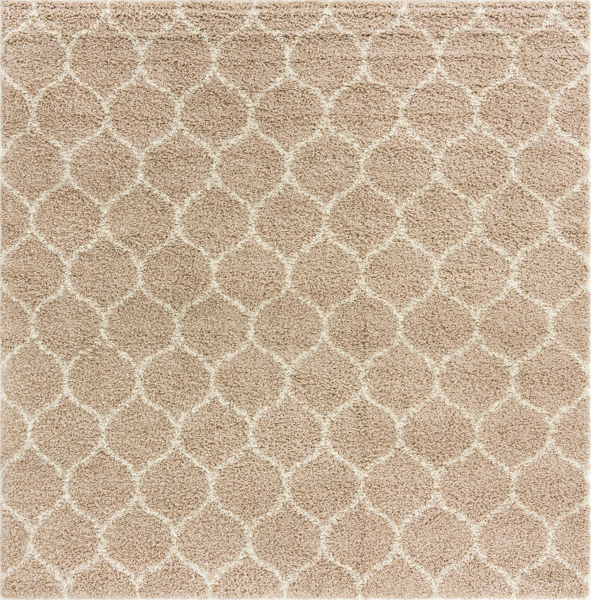 10' x 10' Trellis Shag Square Rug