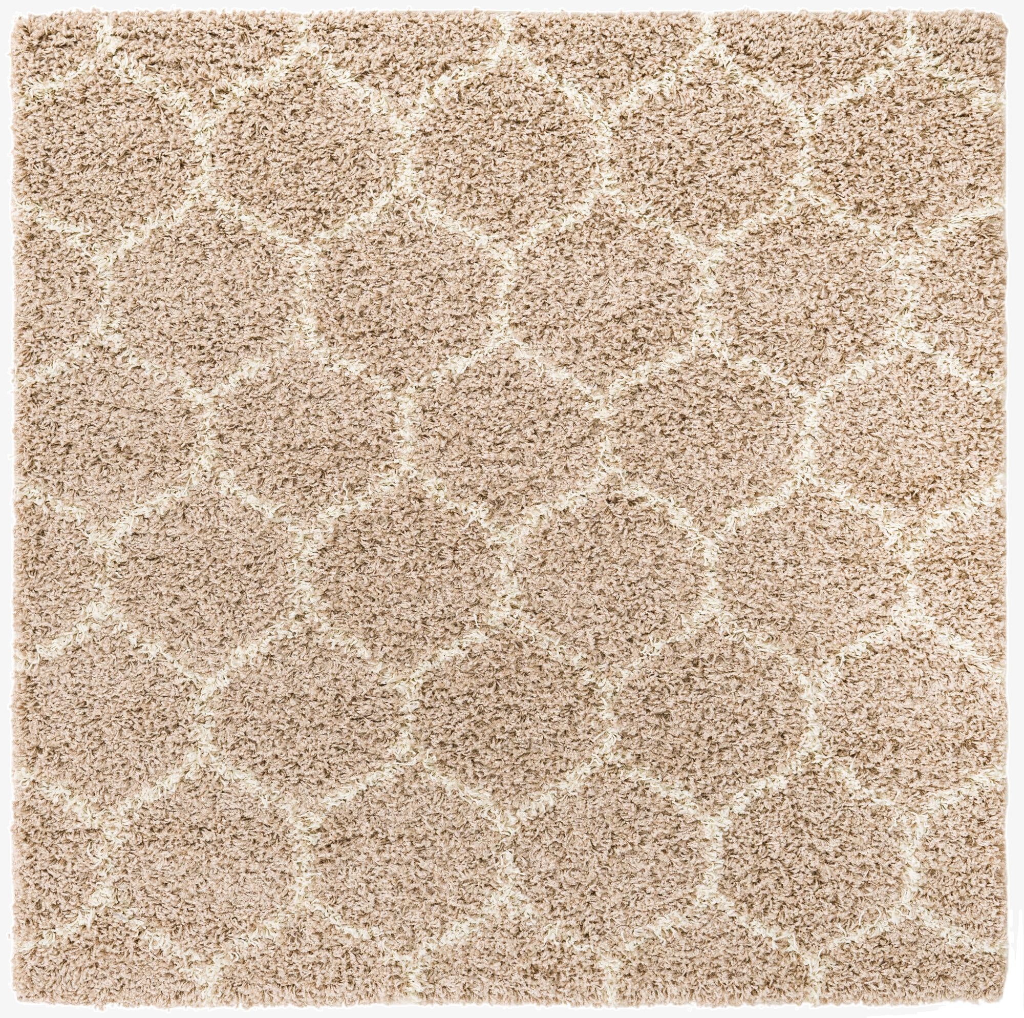 5' 3 x 5' 3 Trellis Shag Square Rug