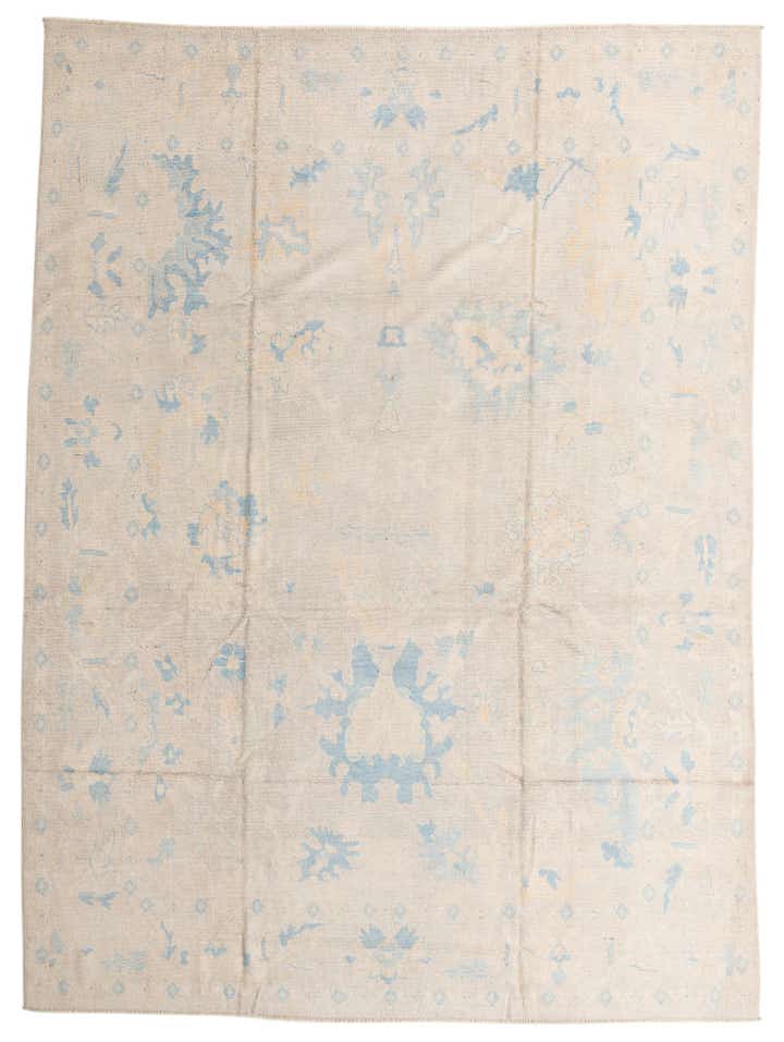 9' 8 x 13' 2 Hand Knotted Darya Wool Rug