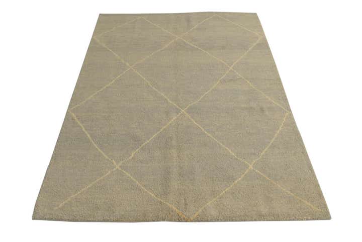 4' 8 x 6' 7 Hand Knotted Darya Wool Rug