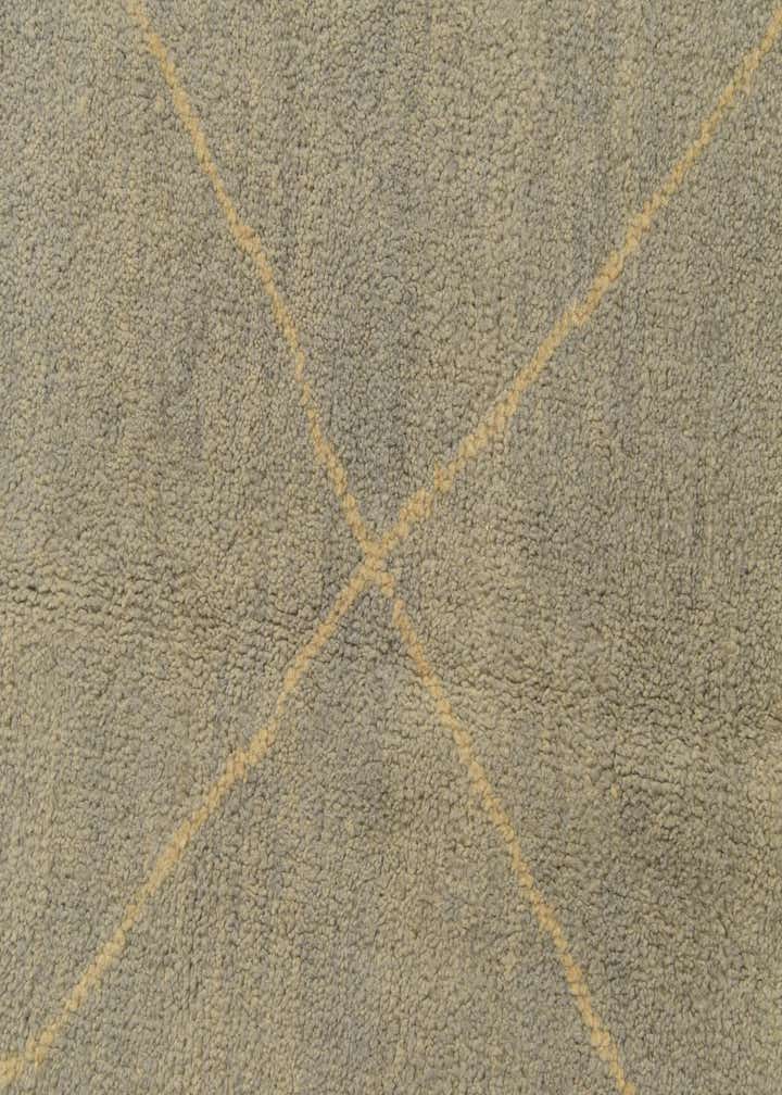 4' 8 x 6' 7 Hand Knotted Darya Wool Rug