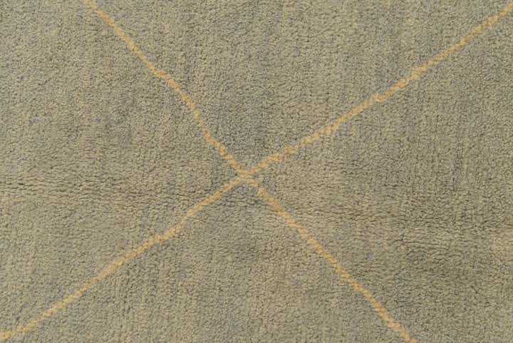4' 8 x 6' 7 Hand Knotted Darya Wool Rug
