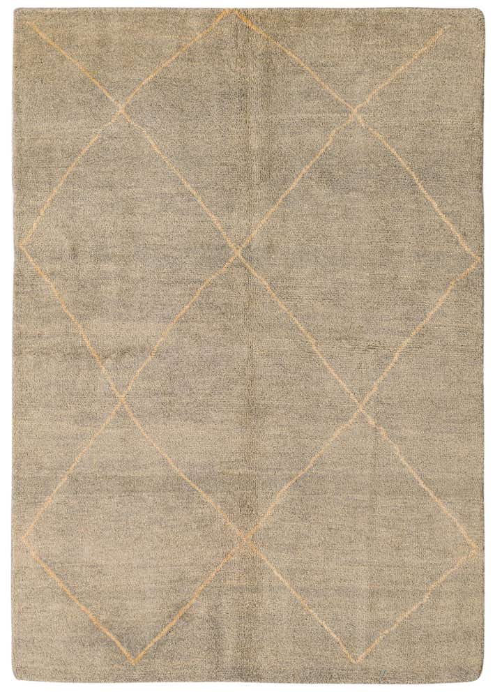 4' 8 x 6' 7 Hand Knotted Darya Wool Rug