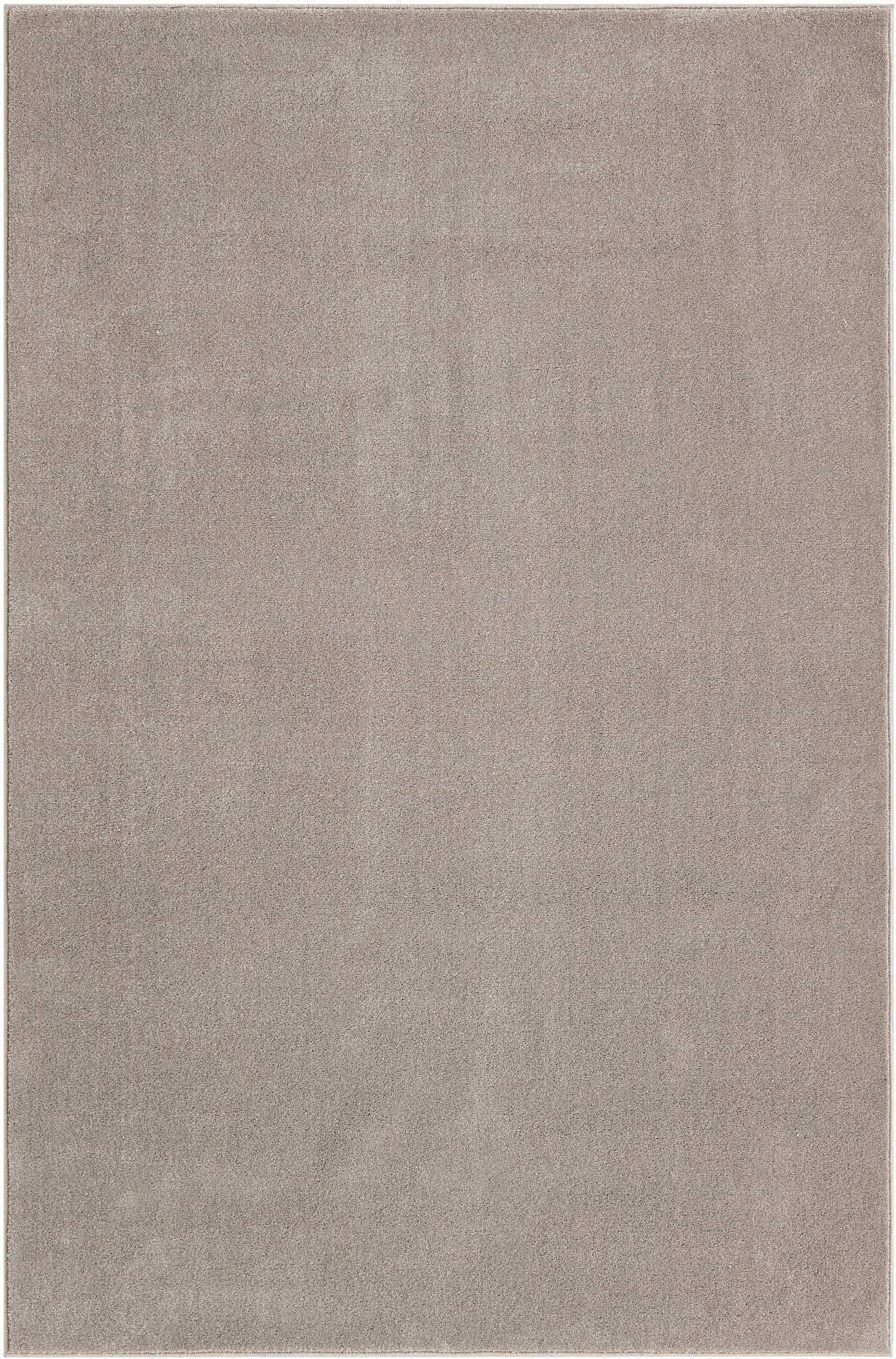 4' x 6' Horizon Rug