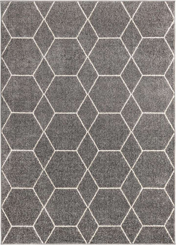 7' 10 x 11' Lattice Frieze Rug