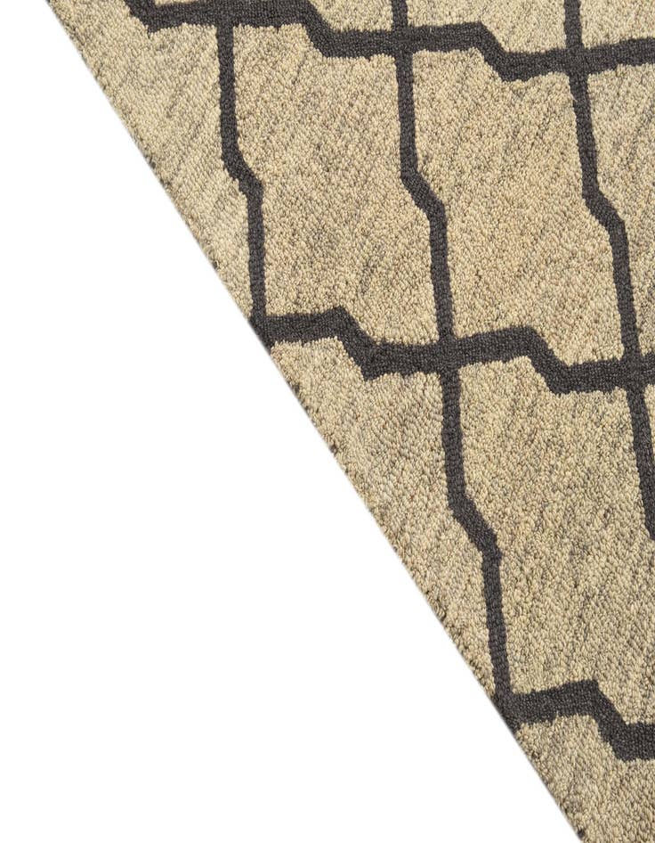 Detail image of 5' x 7' 11 Luna Rug