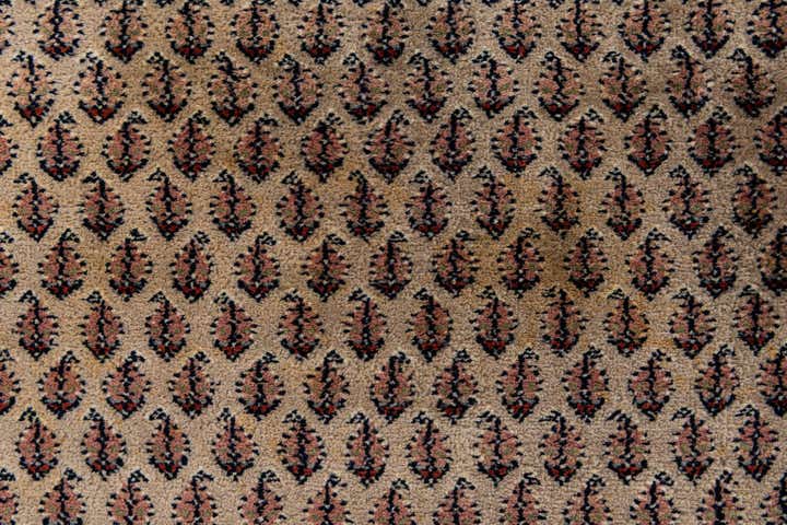 6' 7 x 9' 9 Hand Knotted Mir Wool Rug