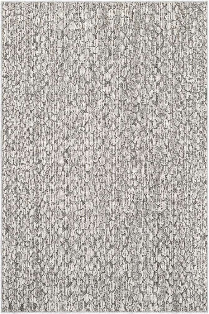 4' 1 x 6' 1 Easy-Clean Safari Indoor / Outdoor Rug