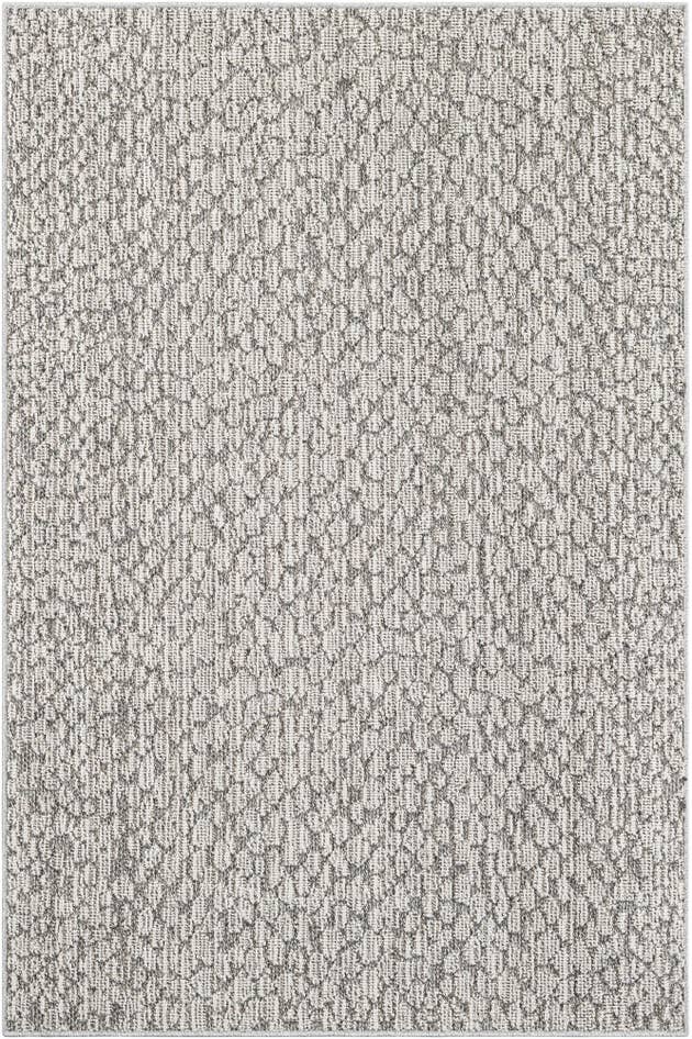 Detail image of 4' 1 x 6' 1 Easy-Clean Safari Indoor / Outdoor Rug