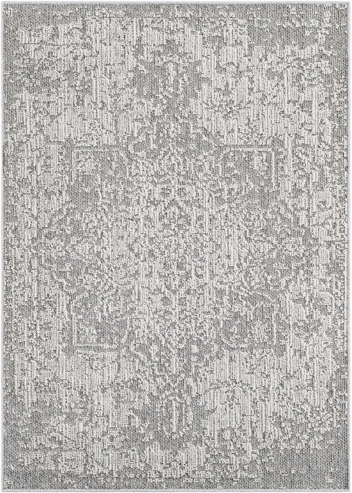 4' 1 x 6' 1 Easy-Clean Traditional Indoor / Outdoor Rug